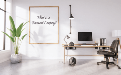 What is a Dormant Company